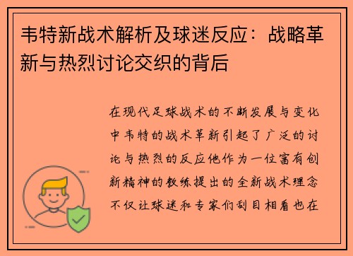 韦特新战术解析及球迷反应：战略革新与热烈讨论交织的背后