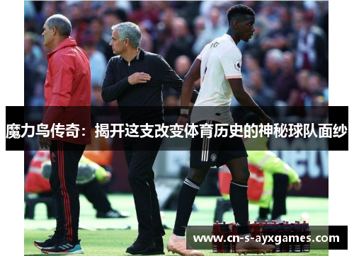 魔力鸟传奇：揭开这支改变体育历史的神秘球队面纱